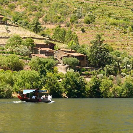Quinta De S. Jose - Turismo Rural Ervedosa do Douro Esterno foto