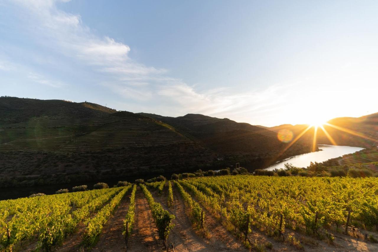 Quinta De S. Jose - Turismo Rural Ervedosa do Douro Esterno foto