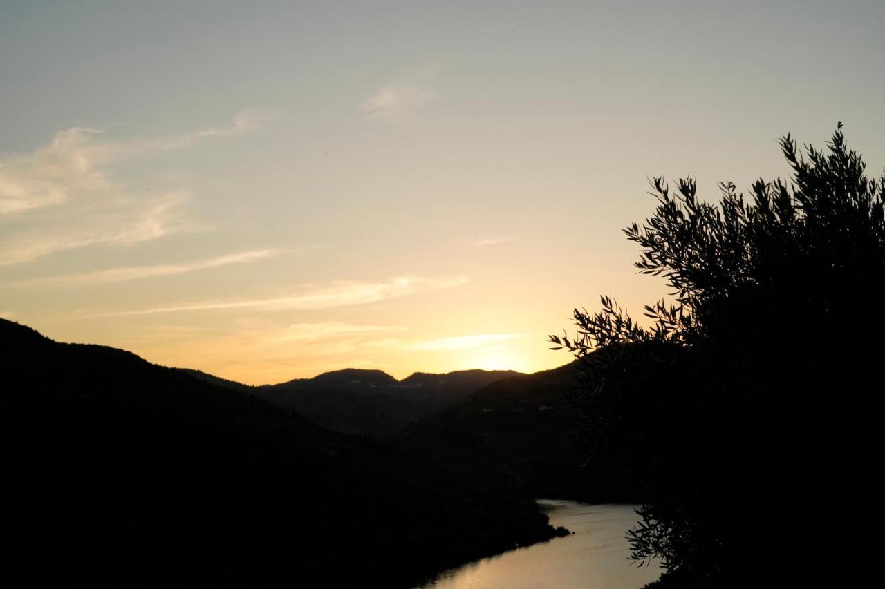 Quinta De S. Jose - Turismo Rural Ervedosa do Douro Esterno foto